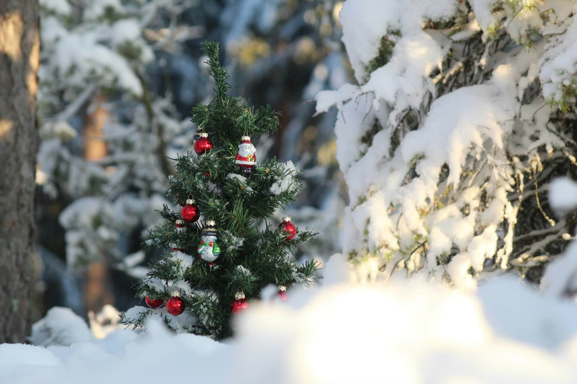 Источник: Unsplash