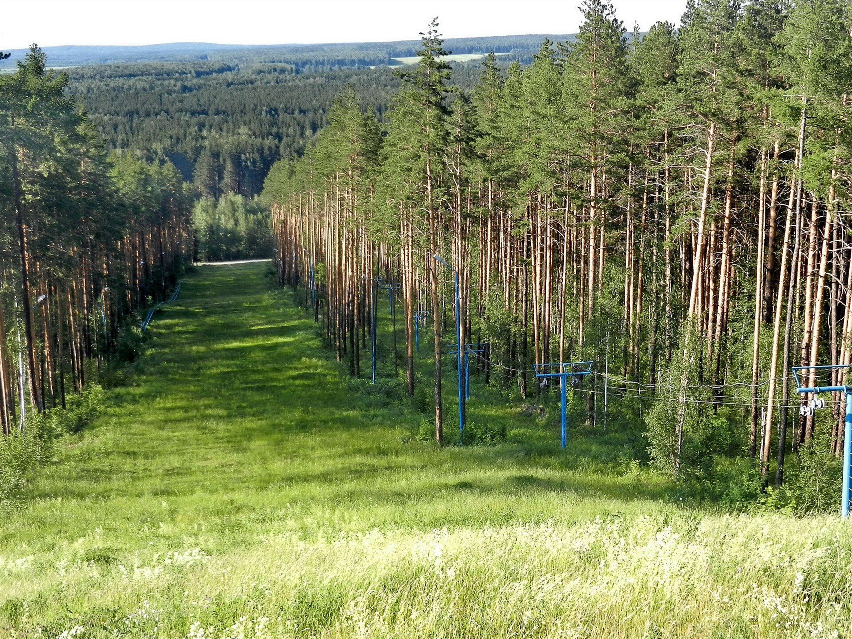 Фото: Tanya Dedyukhina, CC BY-SA 3.0 https://creativecommons.org/licenses/by-sa/3.0, via Wikimedia Commons