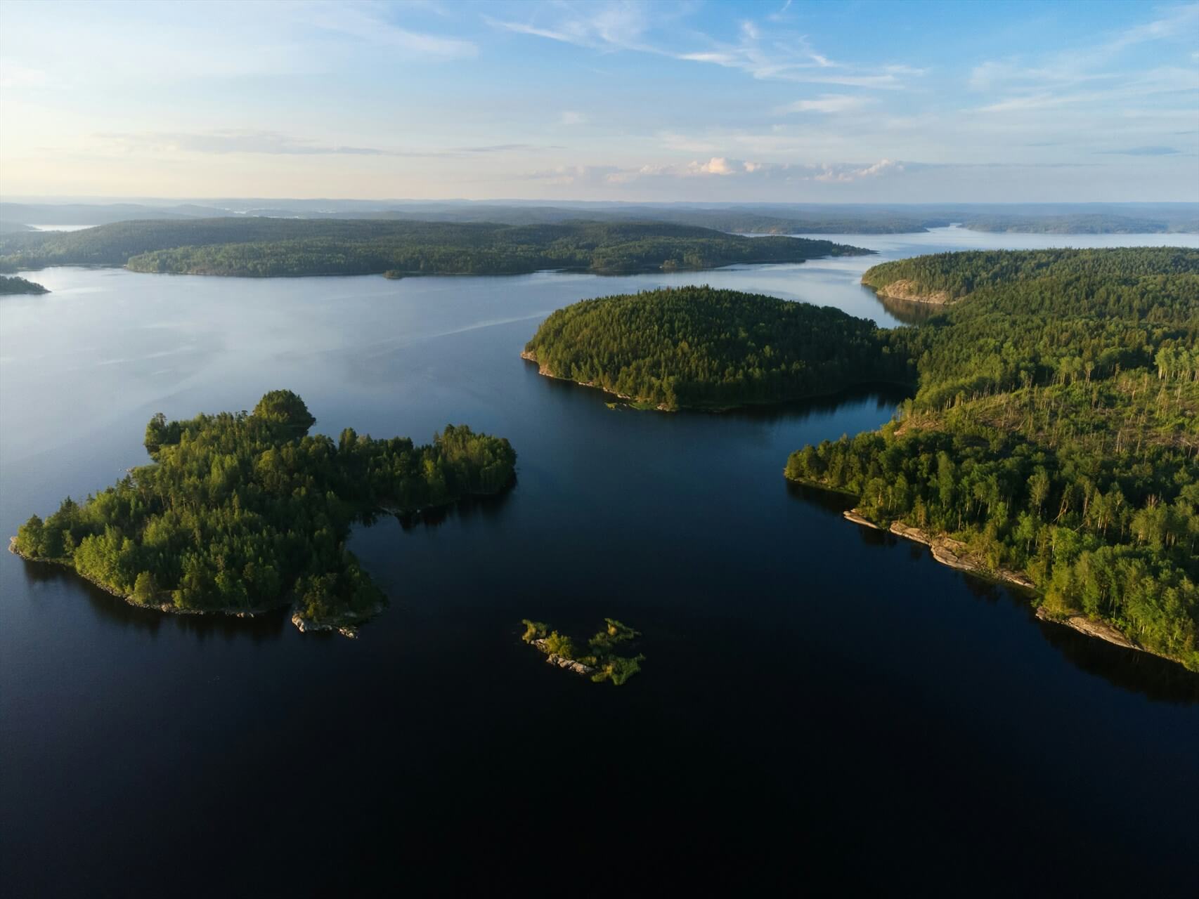 Источник: Unsplash