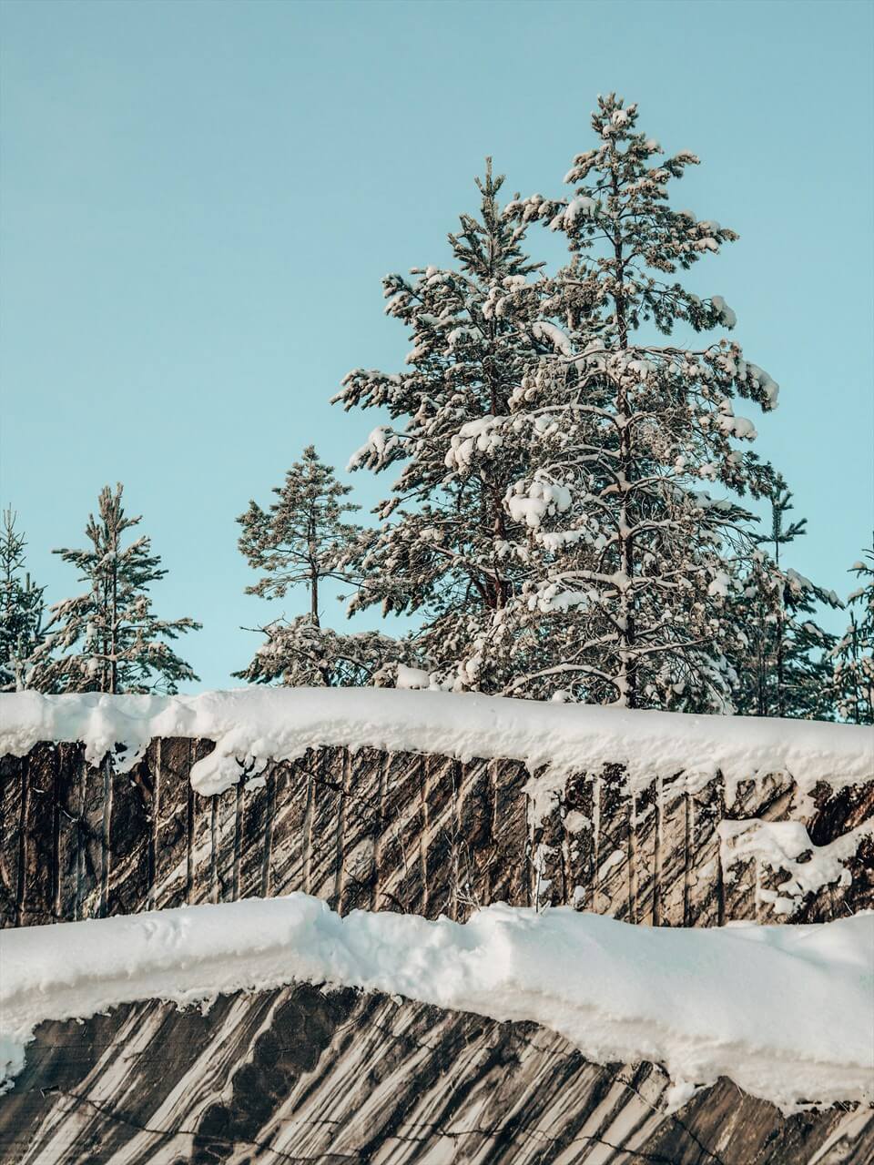 Источник: Unsplash