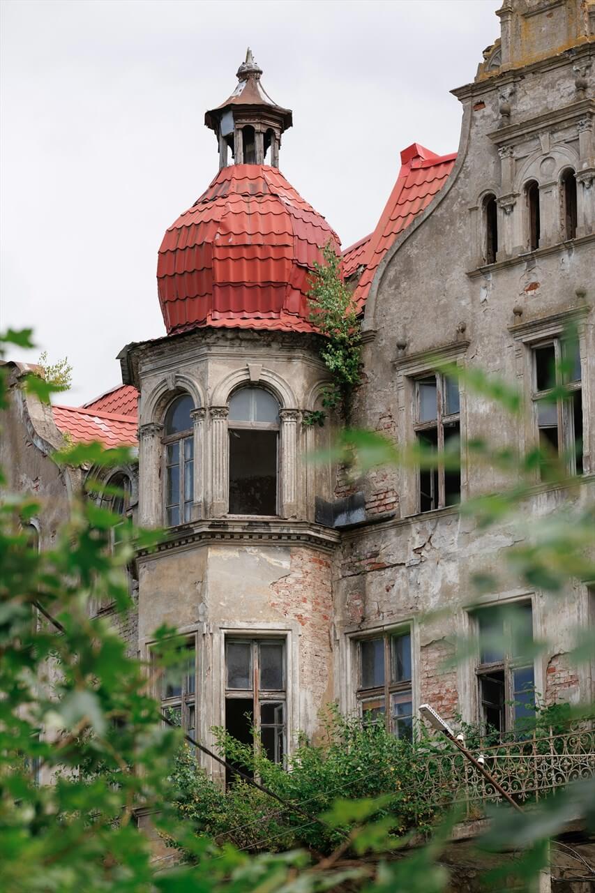 Источник: Unsplash