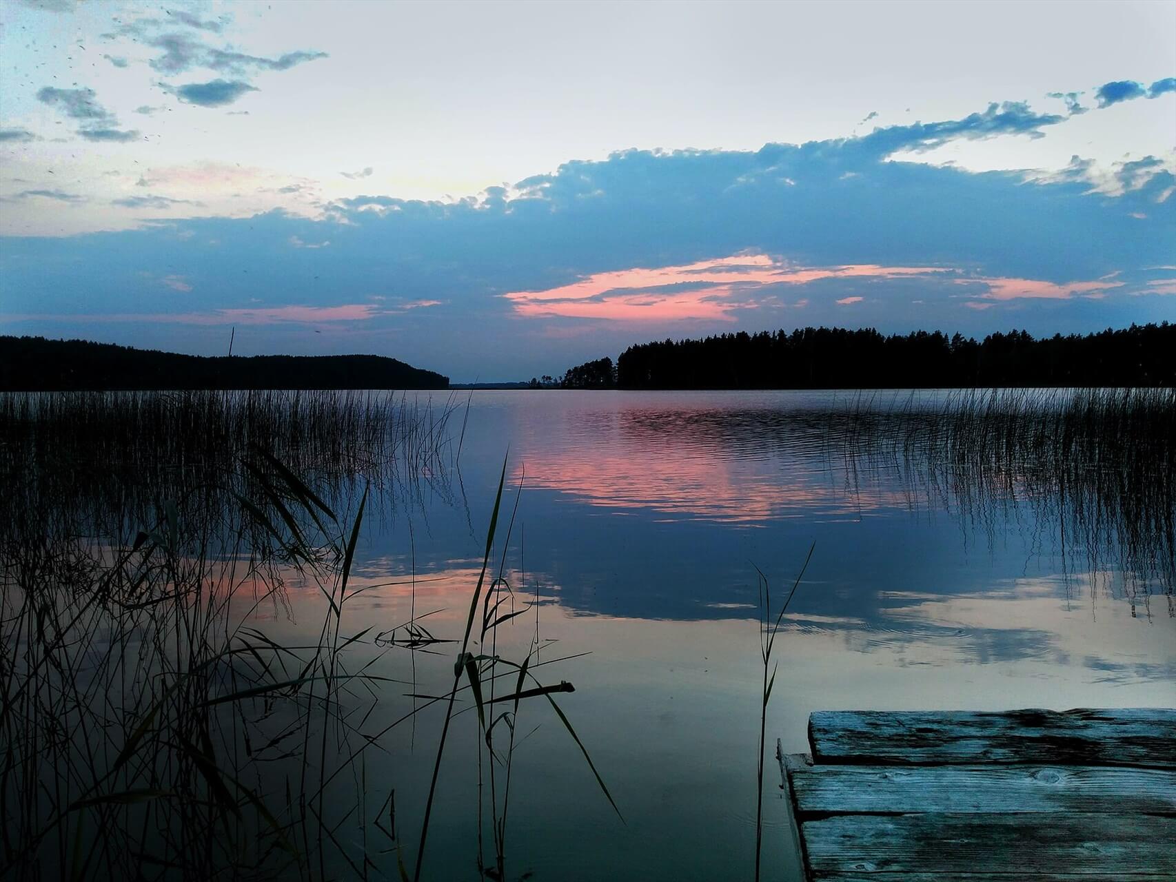 Фото: Alenka Elk, CC BY-SA 4.0 https://creativecommons.org/licenses/by-sa/4.0, via Wikimedia Commons