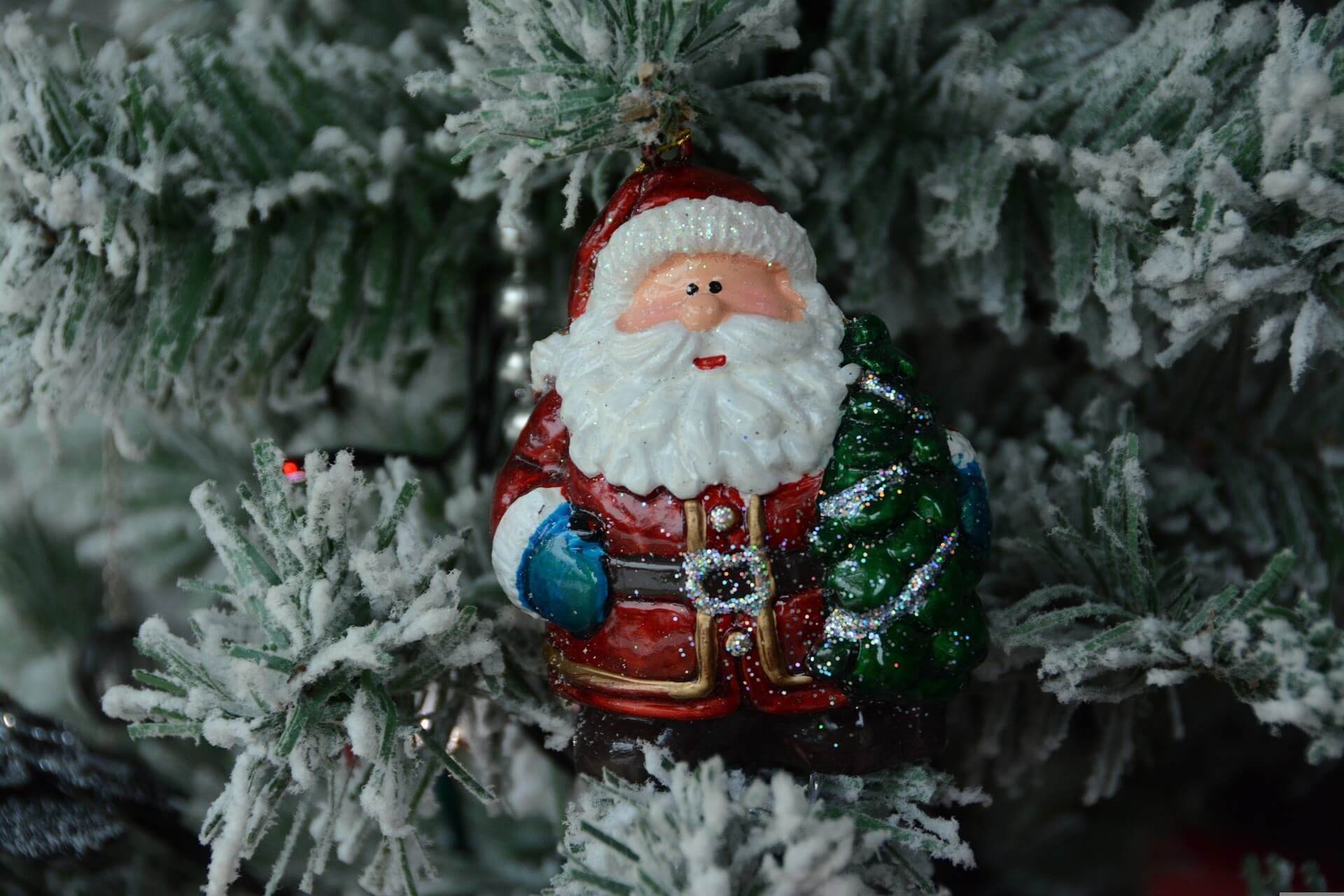 Источник: Pixabay
